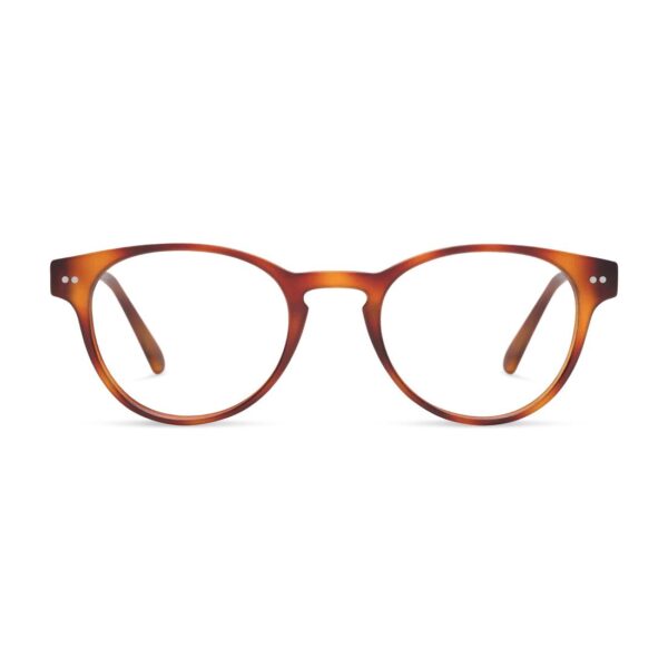 Abbey Progressive Glasses - Image 3